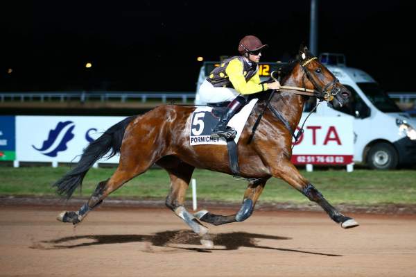 Photo de IKITORI cheval de TROT MONTE