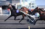 La photo de Free Man PRIX DE PROVENCE - CE - G3 HIPPODROME DE VINCENNES 27/08/2022