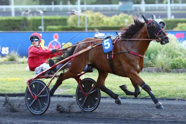 Photo de IRON JET cheval de TROT ATTELE