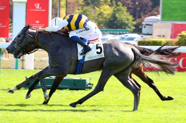La photo de Tigrais PRIX LA ROCHETTE - G3 - Hippodrome de Paris Longchamp 04/09/2022