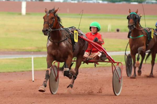 Photo de I PLAY POKER cheval de TROT ATTELE