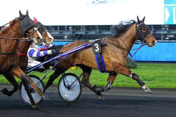 Photo de JACKSON BOY cheval de TROT ATTELE