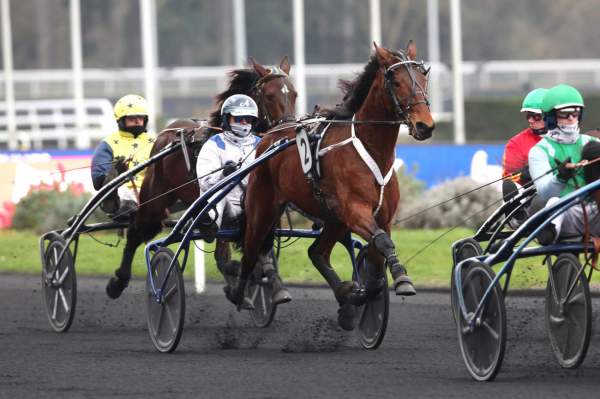 Photo de KOCKTAIL WOOD cheval de TROT ATTELE