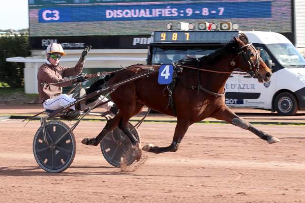Photo de IBLIS GEMA cheval de TROT ATTELE