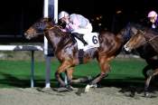 La photo de Ptit Pedro Arrivée Quinté+ PMU Prix du Volcan à Deauville