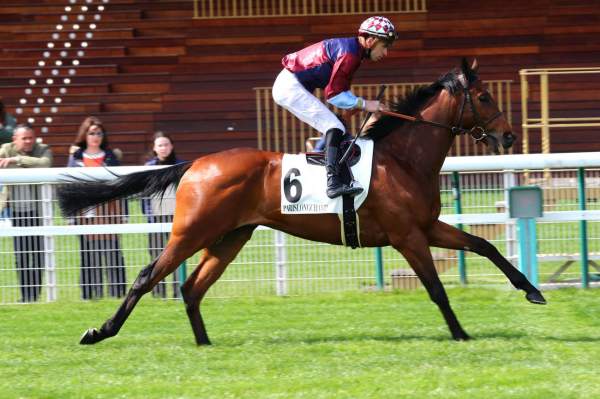 Photo de MONONOF cheval de PLAT