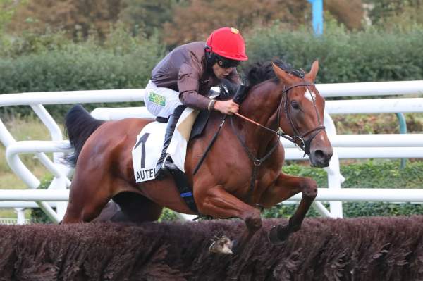 Photo de JUNTOS GANAMOS cheval de STEEPLE CHASE