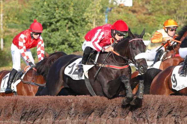 Photo de JOJO LAPIN cheval de HAIES