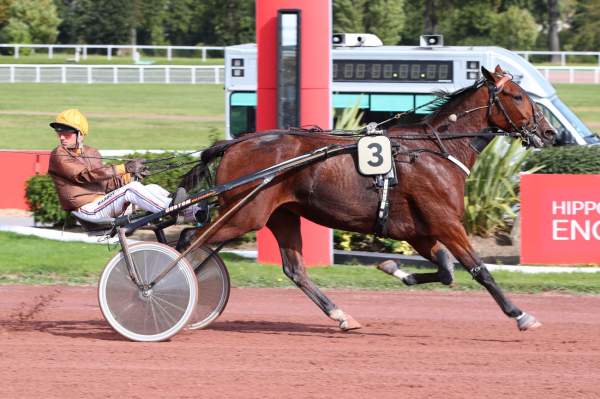 Photo de GUAPITA LAUMAX cheval de TROT ATTELE