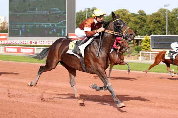 Photo de IRESINE DU LUPIN cheval de TROT MONTE