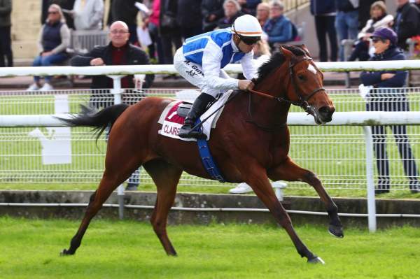 Photo de CETERA cheval de PLAT