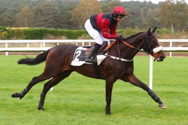 La photo de Quiniland 