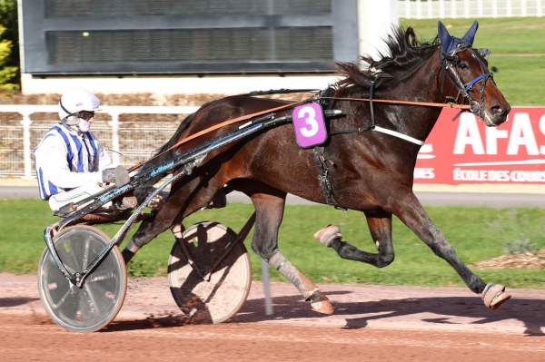 Photo de KIWA BLEUE cheval de TROT ATTELE