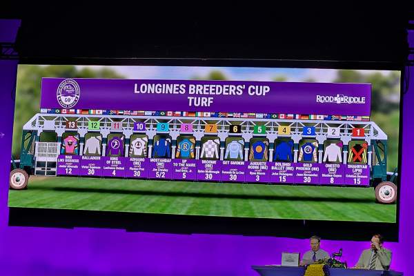 La photo de Breeders' Cup 2023 