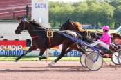 La photo de King Track arrivée PMU Prix de Formentin à Caen 