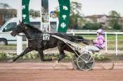 La photo de Happyjo De Ligny arrivée PMU Grand Prix Bron d'Ardeuil à Toulouse 