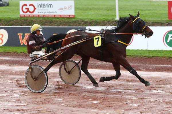 Photo de HAMILTON DU LUPIN cheval de TROT ATTELE