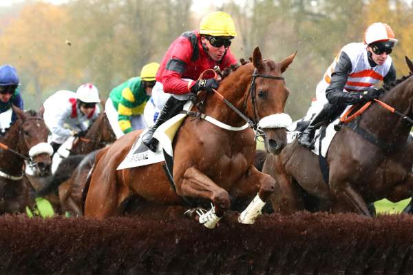 Photo de KRAKAN cheval de HAIES