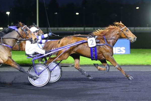 Photo de JALNA GIRL cheval de TROT ATTELE