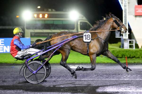 Photo de JE TE CHERCHE cheval de TROT ATTELE