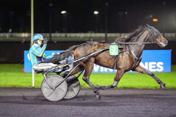 Photo de KAKOU CAYENNAIS cheval de TROT ATTELE