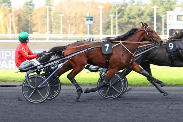 Photo de LEMON TREE cheval de TROT ATTELE