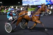 La photo de Bahia Del Circeo Arrivée Quinté+ PMU Prix Mizar à Vincennes