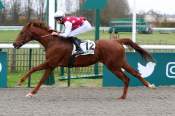 La photo de Senepark arrivée PMU Prix de la Galerie de Psyché à Chantilly 