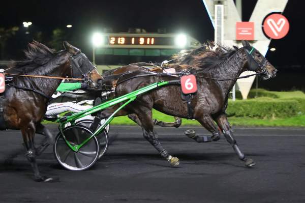 Photo de KAZAN DE VANDEL cheval de TROT ATTELE