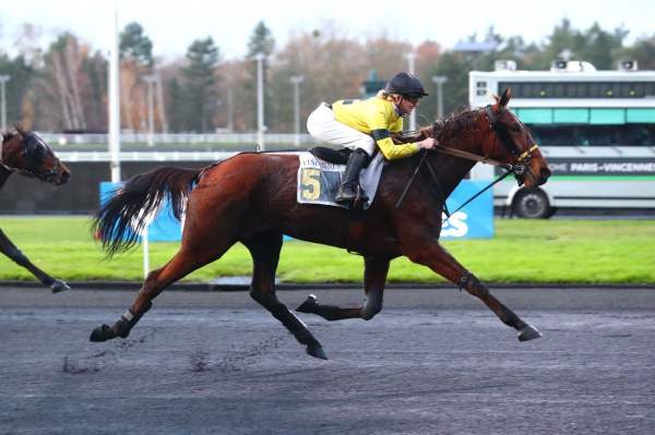Photo de ISLAMORADA cheval de TROT MONTE