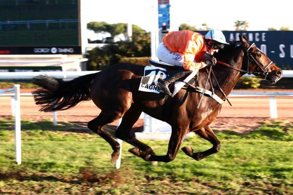 Photo de LILLOU cheval de HAIES