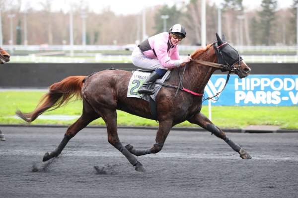 Photo de JORKY D'ALOUETTE cheval de TROT MONTE