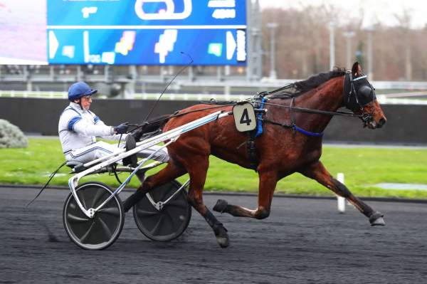 Photo de KART HAUFOR cheval de TROT ATTELE
