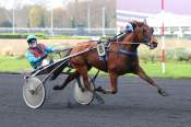 La photo de Bahia Del Circeo arrivée Quinté+ PMU Prix de Villers-Cotteret à Paris Vincennes 