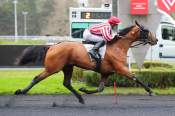 La photo de Illenc Des Bosc arrivée PMU Prix de Grenoble à Paris Vincennes 