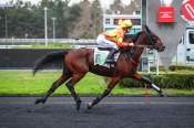 La photo de Kentucky Ideal arrivée PMU Prix de la Ferté-Vidame à Paris Vincennes 