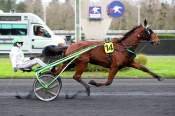 La photo de Hannibal Tuilerie Arrivée Quinté+ Pmu Prix de Craon à Vincennes