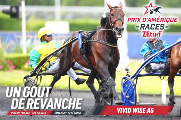 La photo de Vivid Wise As Prix de France 2023 - Prix d'Amérique Races ZEturf