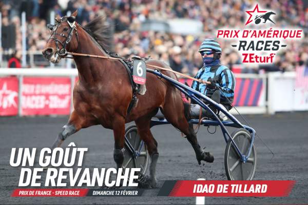 La photo de Idao De Tillard Prix de France 2023 - Prix d'Amérique Races ZEturf