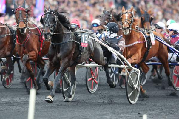 Photo de DON FANUCCI ZET cheval de TROT ATTELE