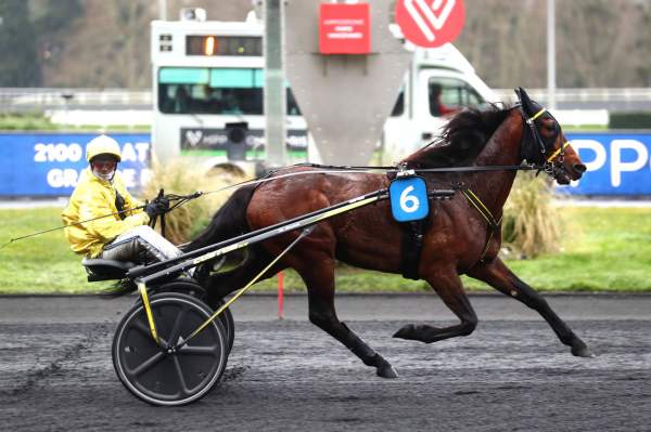Photo de JINGLE DELO cheval de TROT MONTE