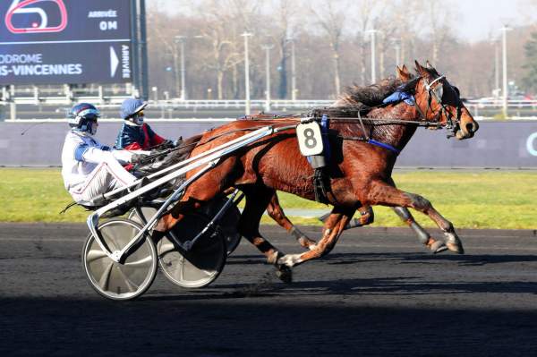 Photo de JOVIAL HAUFOR cheval de TROT ATTELE