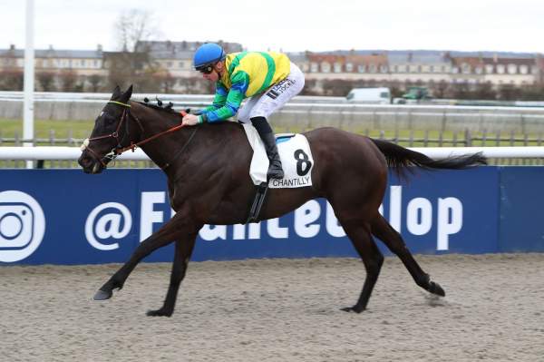 Photo de VALENTO cheval de PLAT