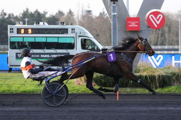 Photo de JACQUARD cheval de TROT ATTELE