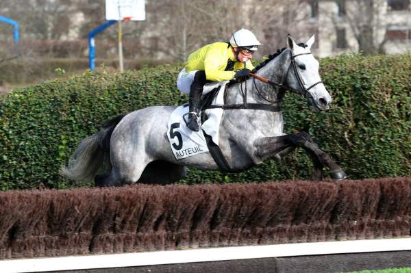 Photo de LA HAUTE COUTURE cheval de HAIES