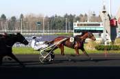 La photo de Is Magic Haufor Arrivée Quinté+ Pmu Prix de Dieppe à Vincennes