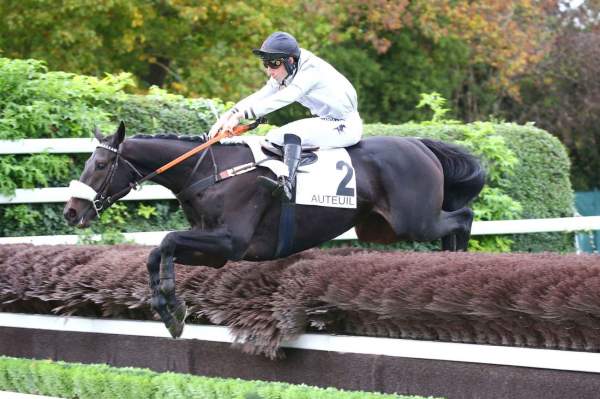 Photo de LIBECCIO cheval de HAIES