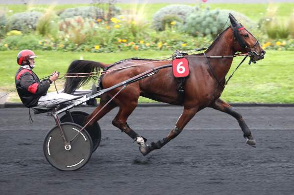 La photo de Hold Up Des Ventes 