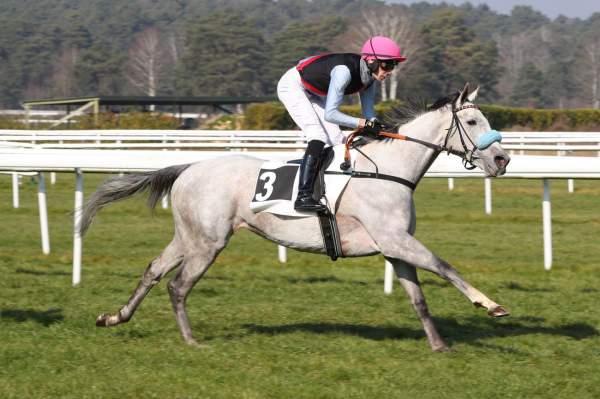 Photo de PALATINA cheval de PLAT