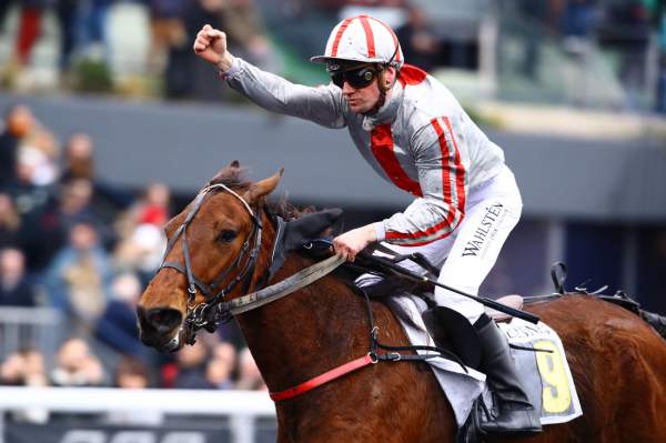 La photo de Hanna Des Molles Arrivée course PMU Prix des Centaures 2023 à Vincennes